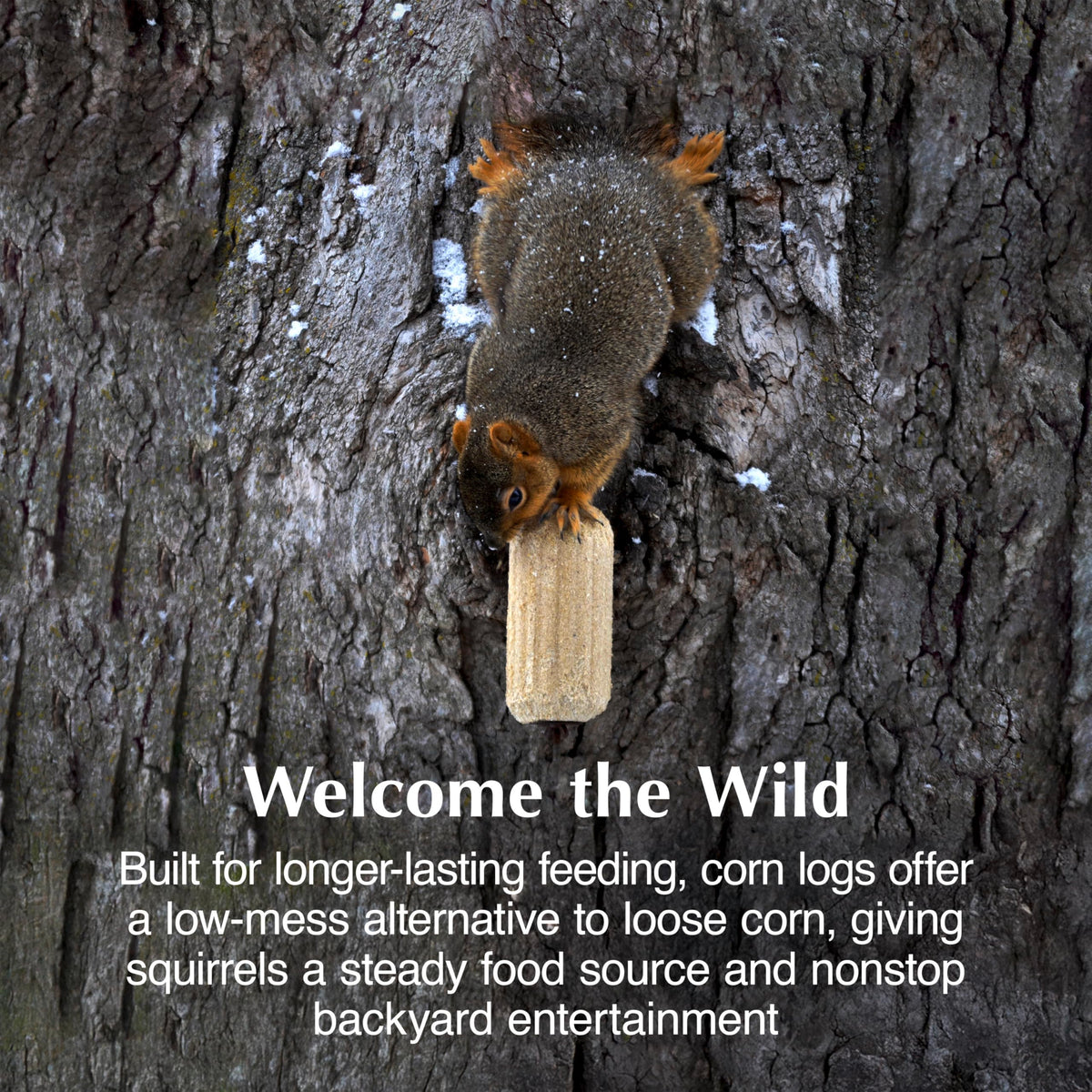 C&S Squirrelog compact-design container reduces mess under feeders.