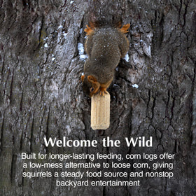 C&S Squirrelog compact-design container reduces mess under feeders.