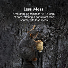 C&S Sweet Corn Squirrelog squirrels-enjoying the treat highlights wildlife entertainment.
