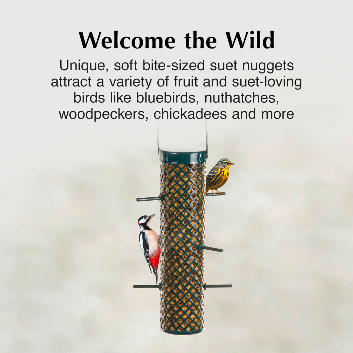C&S Bluebird Suet Nuggets can be fed alone or mixed with seed for versatile feeding.