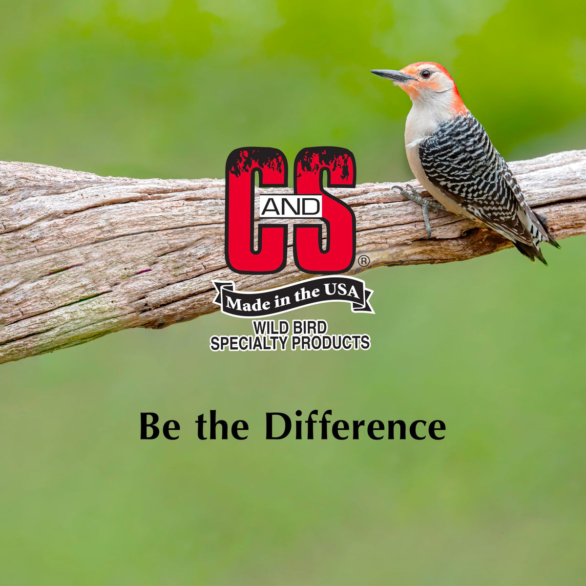 C&S Woodpecker Suet Nuggets are easy to handle and feed.