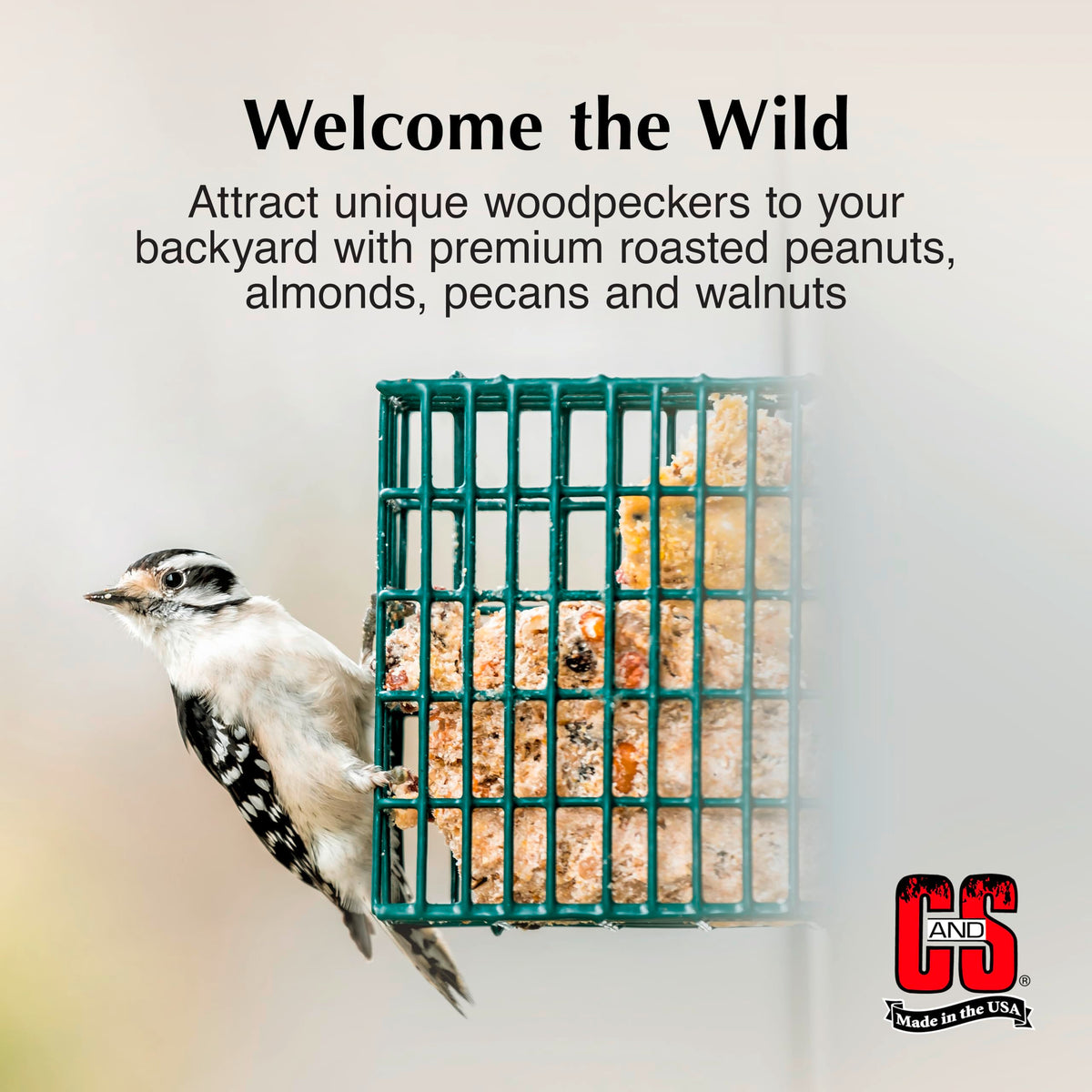 C&S Woodpecker Suet Treat ready-to-use in a cake feeder.