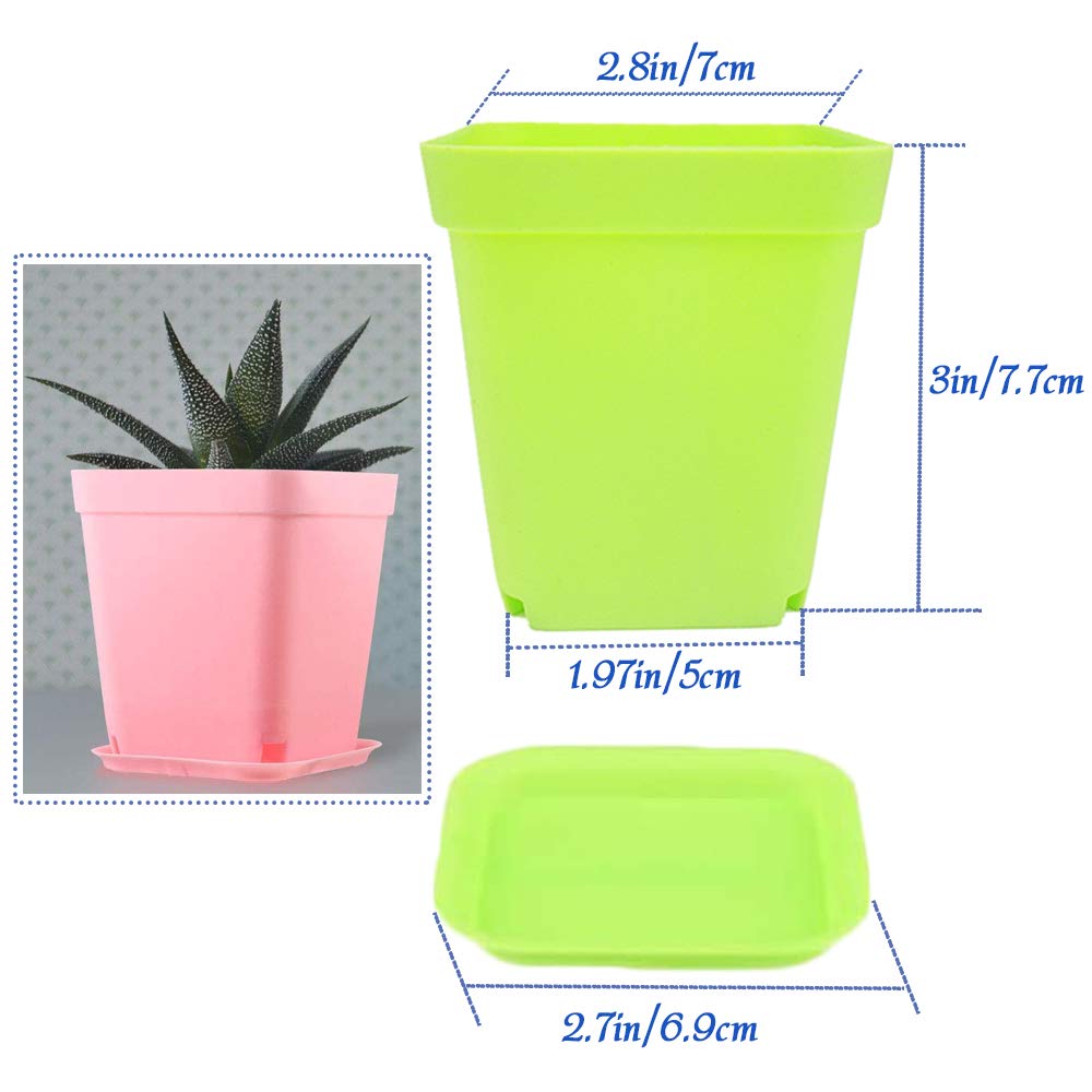 Cshangzei 24-pack square green pots with saucers for compact indoor gardens.