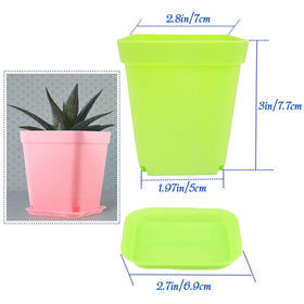 Cshangzei 24-pack square green pots with saucers for compact indoor gardens.