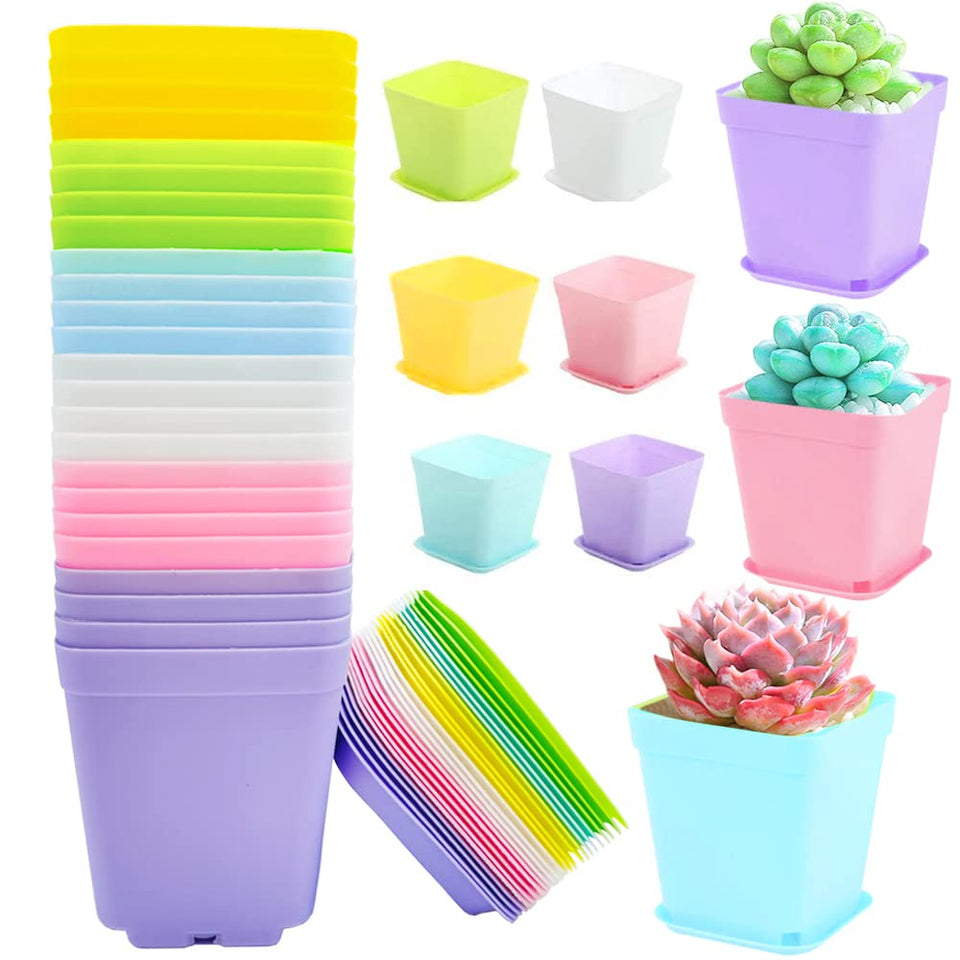 Cshangzei 24-pack square pink pots with saucers for seeds and seedlings.