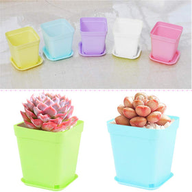 Cshangzei 24-pack square purple pots with saucers for starter transplants.