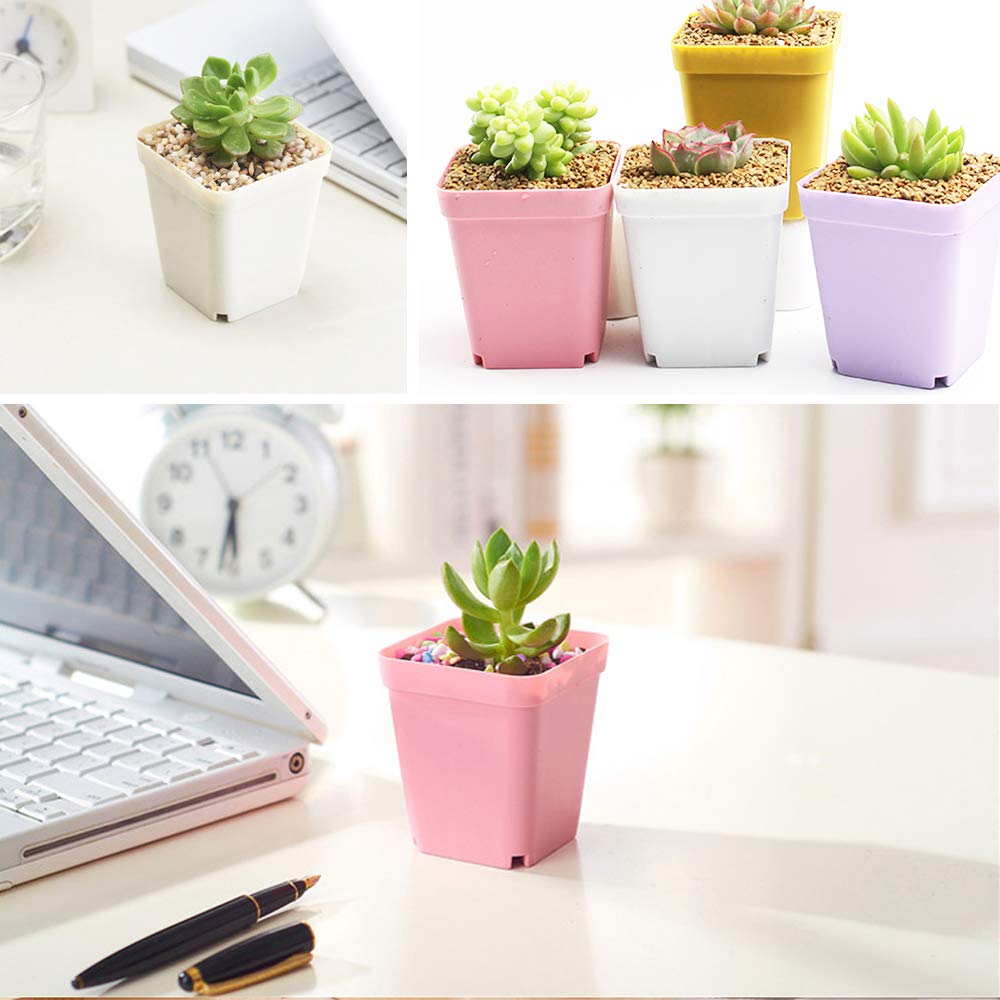 Cshangzei 24-pack square white pots with saucers offering lightweight durability.