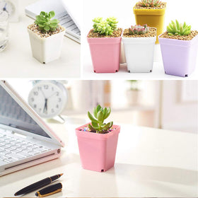 Cshangzei 24-pack square white pots with saucers offering lightweight durability.