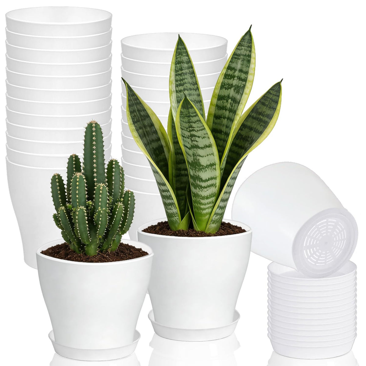 Cshangzei 4-inch white pot with saucer ready for compact indoor plants.