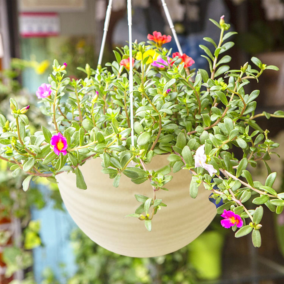 Cshangzei creamy-white planter complements decor while supporting healthy root hydration
