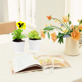 Lightweight, durable plastic Cshangzei pots designed for easy handling.