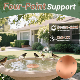 CTTZCKJ copper disk designed for year-round performance in bird baths