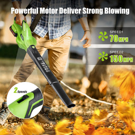Cub Tik leaf blower handles dust, grass, and patio debris