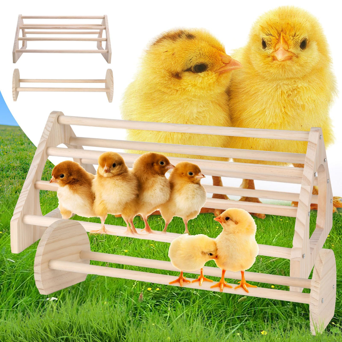 CuffUp chicken perch 2-pack: durable, heavy-duty roosting bars for your coop.