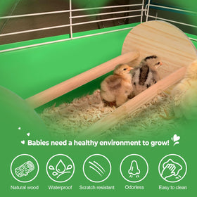CuffUp chicken perch chicks resting: promotes safe, restful perching in coop.