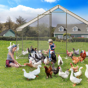 CuisinSmart spacious coop suits multiple birds for comfortable cohabitation.