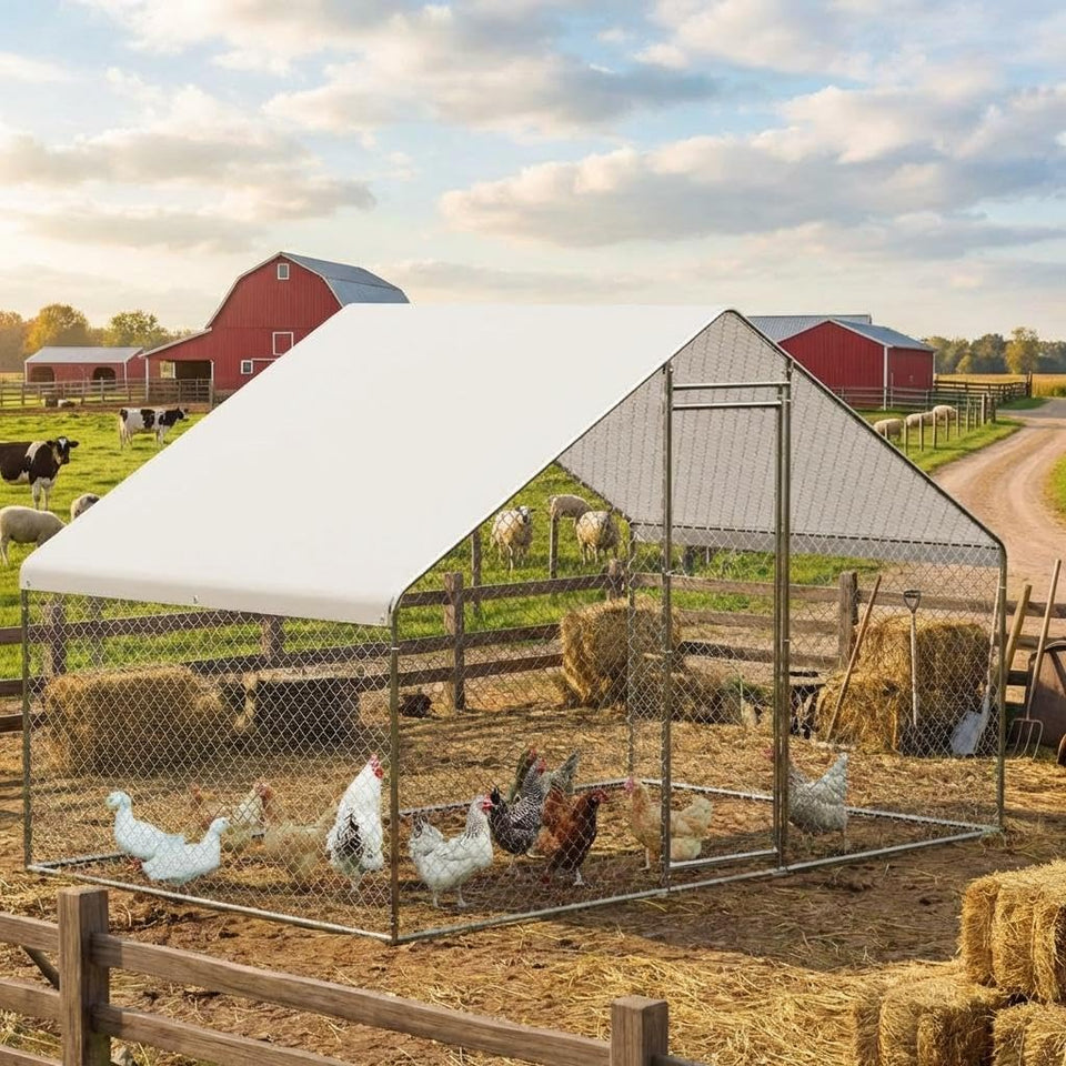 CuisinSmart spire-roofed coop provides sturdy shelter against rain and wind.