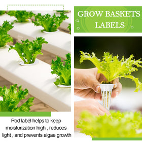 Cunhill grow basket with groove design promotes water circulation.