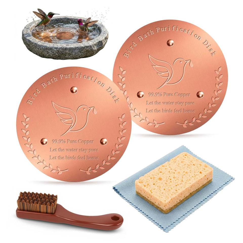 Cunuwo copper disk in bird bath, top view helps keep water fresher.