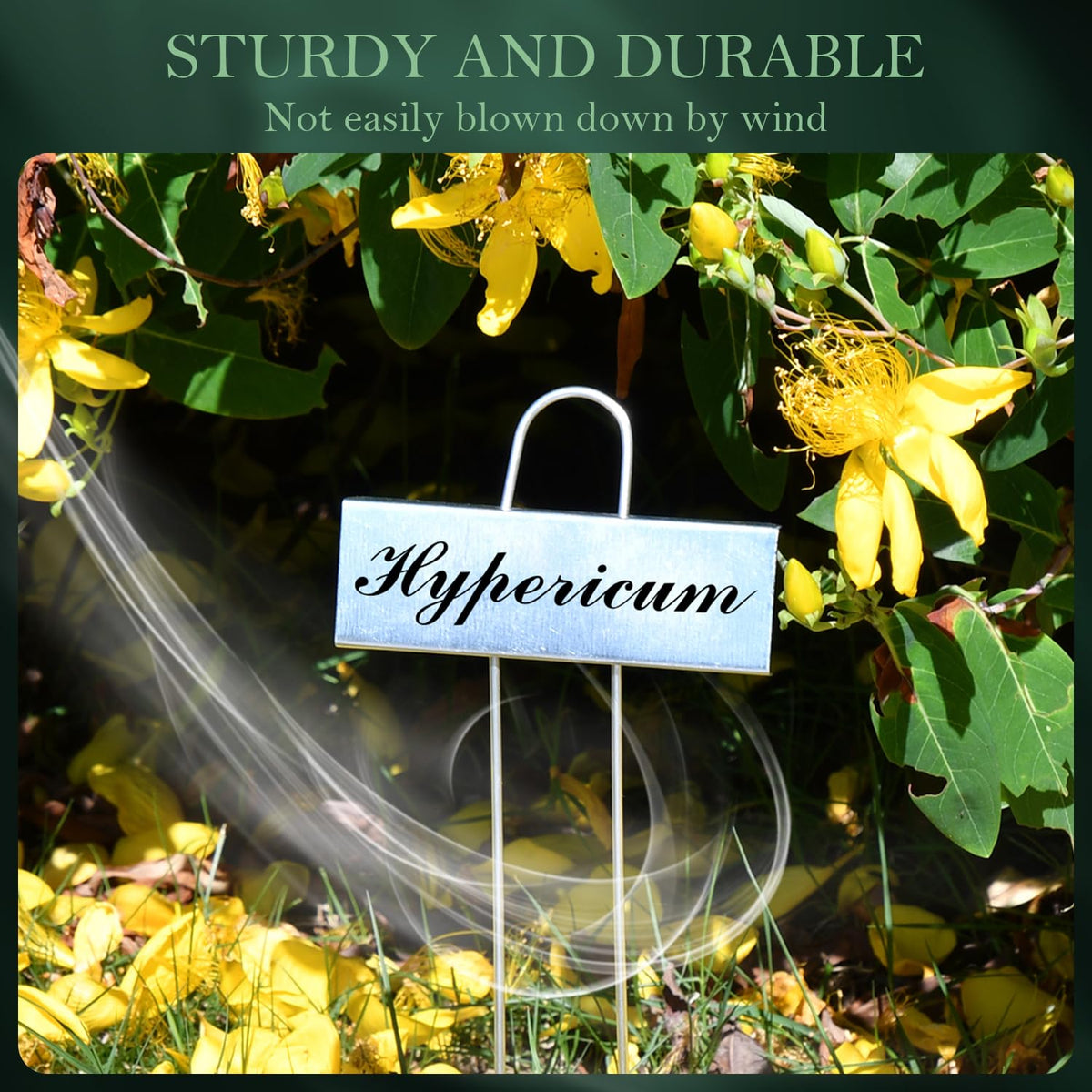 Cureder metal plant labels shown as a gift idea for plant lovers.