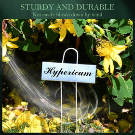 Cureder metal plant labels shown as a gift idea for plant lovers.