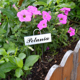 Cureder garden markers beside vegetables help track care dates and growth.
