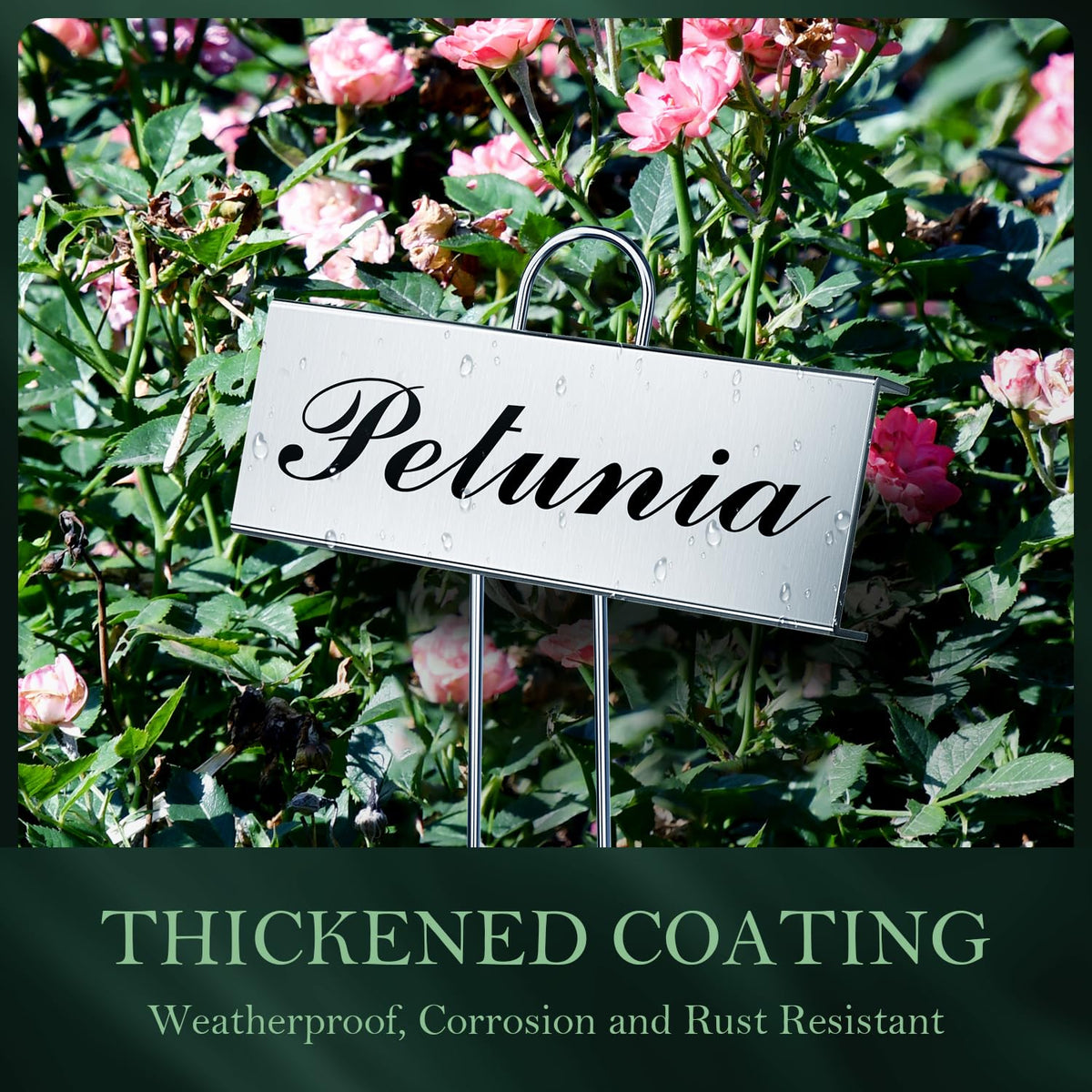 Cureder stainless steel markers labeling seedlings, rust-resistant for long-lasting garden organization.