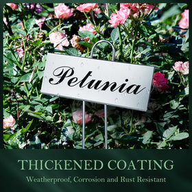 Cureder stainless steel markers labeling seedlings, rust-resistant for long-lasting garden organization.