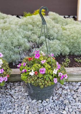 Curtis Wagner drip pan saucer reduces mess and water runoff from hanging baskets.