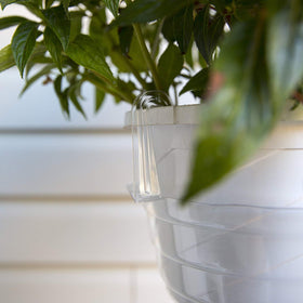 Curtis Wagner drip pan holds extra water to prevent spills around plants.