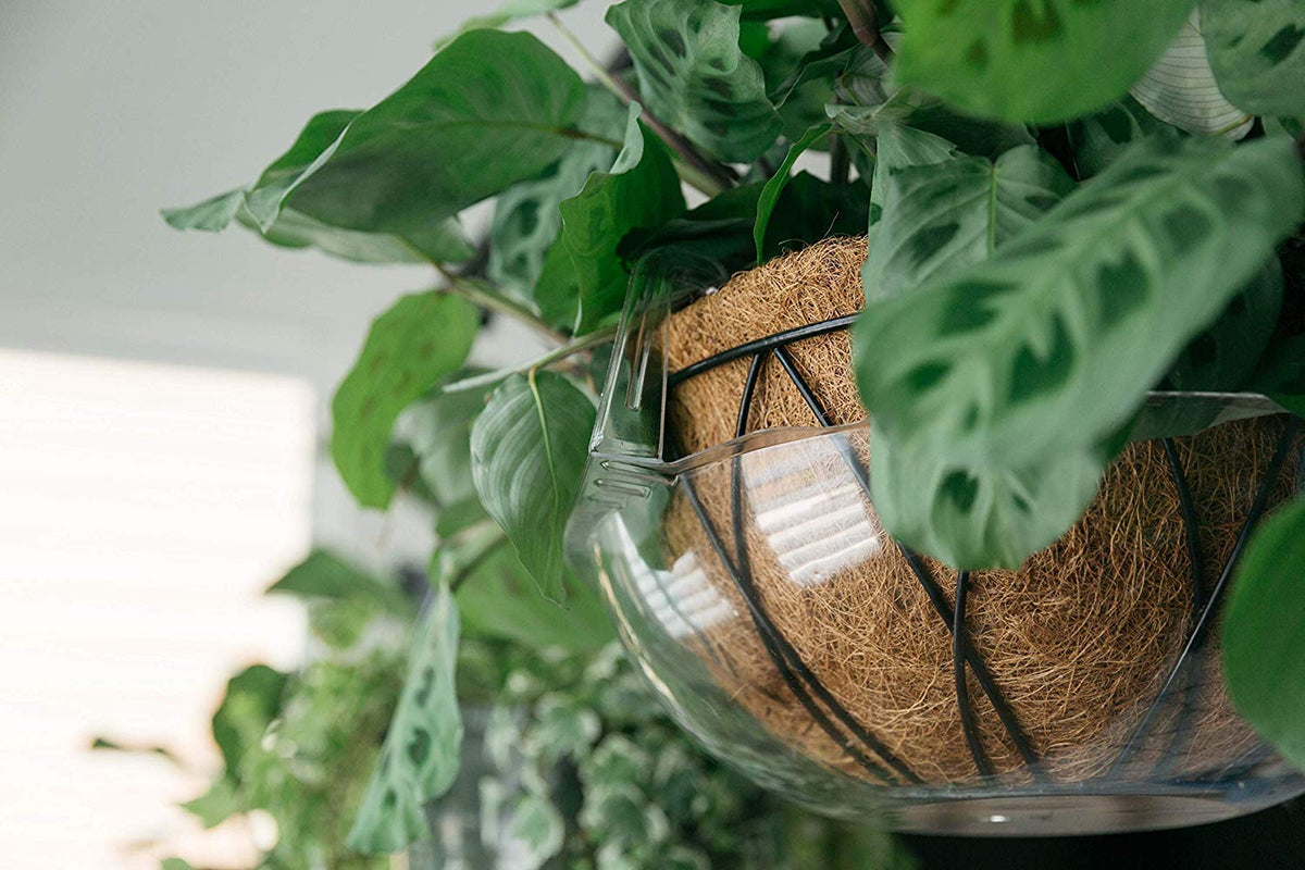 Curtis Wagner Plastics water catcher design promotes airflow around plants.