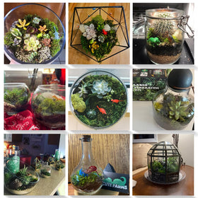 Cute Farms care guide assists adults and kids in building and maintaining terrariums.