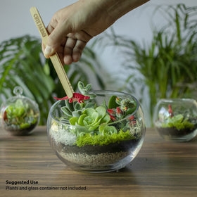 Cute Farms soil blend enhances drainage and airflow for healthy terrarium plants.