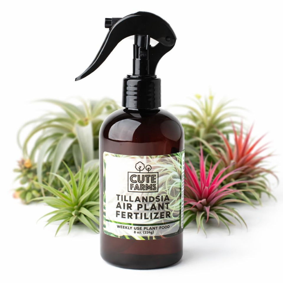 Cute Farms Tillandsia air plant fertilizer bottle ready for weekly feeding