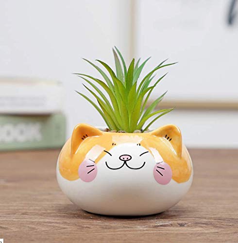 Cuteforyou cat shaped ceramic pot with bottom drainage hole