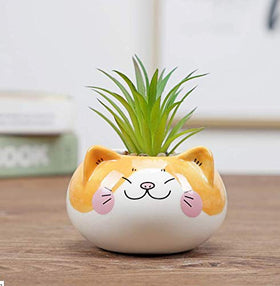 Cuteforyou cat shaped ceramic pot with bottom drainage hole
