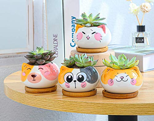 Cuteforyou handmade ceramic pot with craft details