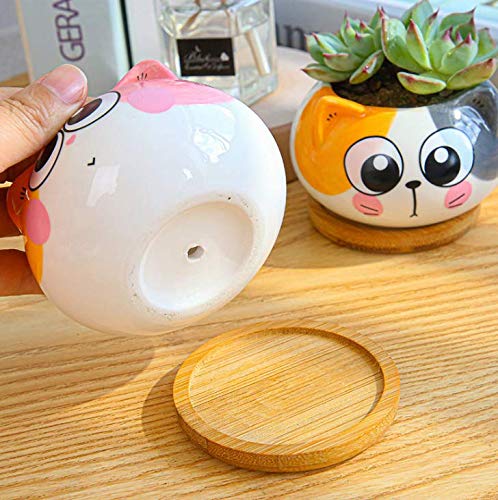 Cuteforyou ceramic succulent pot kit with bamboo tray