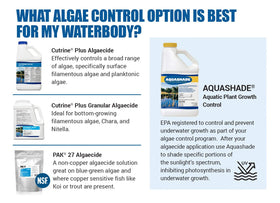 Cutrine-Plus algaecide showing targeted spot treatment in a water body.