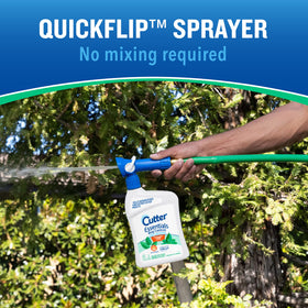 Applying Cutter Essentials concentrate on a lawn demonstrates effective outdoor insect control.
