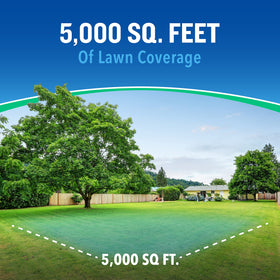 Lawn edge and garden path with Cutter Essentials for mosquito control.