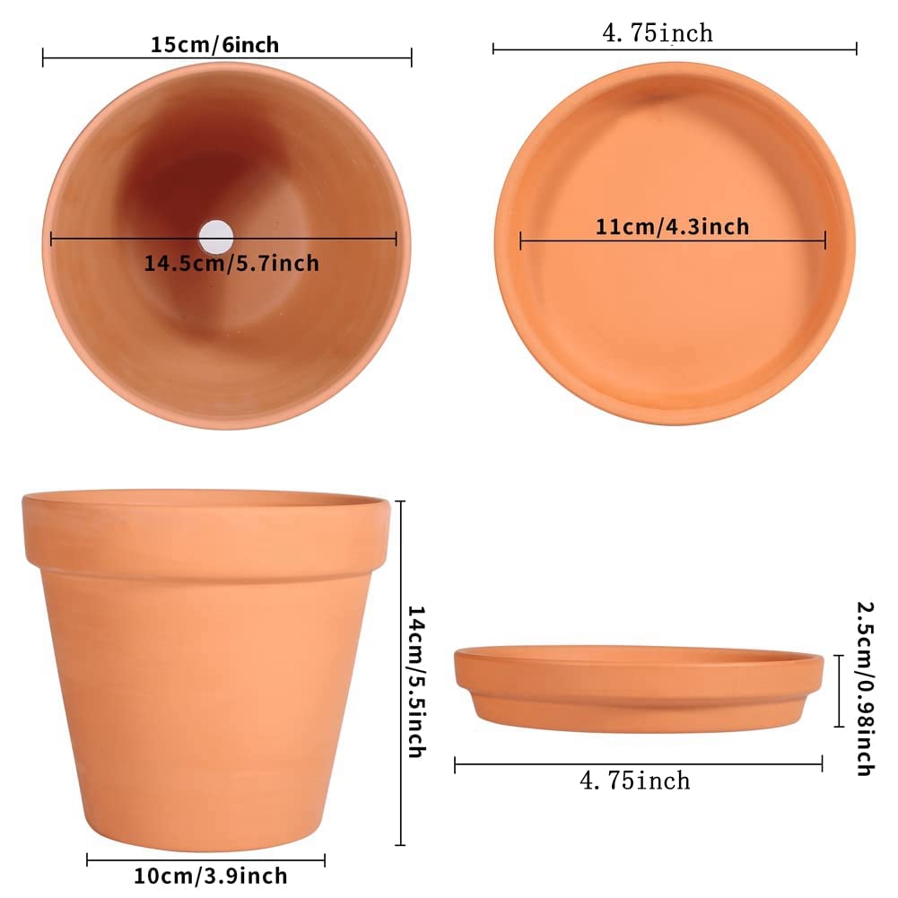 CUZZME terracotta pot with drain hole helps excess water drainage for healthier roots.