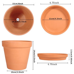 CUZZME terracotta pot with drain hole helps excess water drainage for healthier roots.