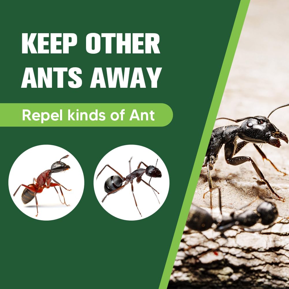 CVKDGJD Ant Repellent for Kitchen and Pantry keeps ants away safely