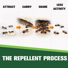CVKDGJD Easy Setup Ant Repellent ready to place near entry points