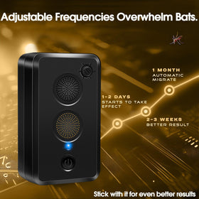 CXIENAOY attic installation demonstrates wall mounting for continuous bat avoidance.