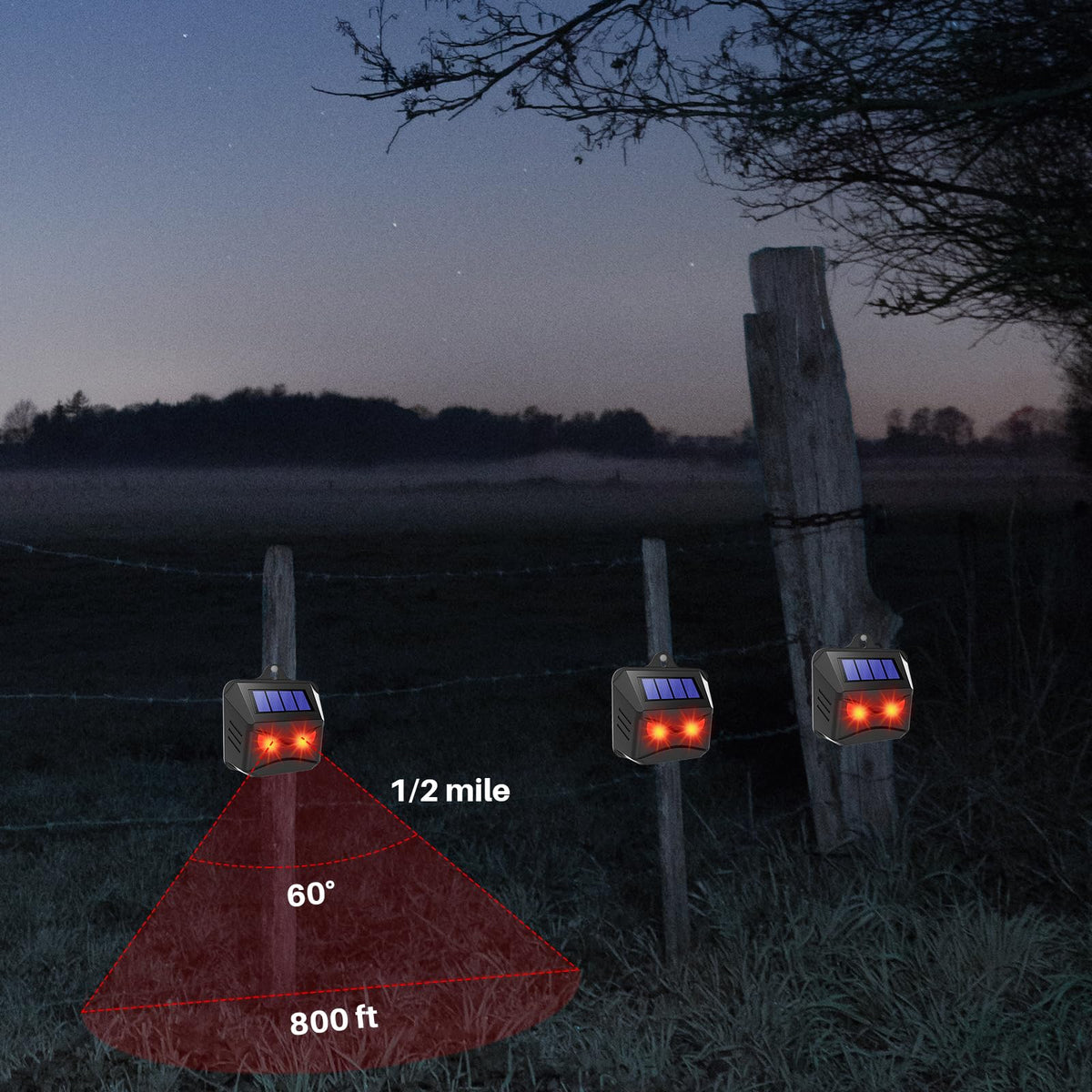CXIENAOY night deterrent effect helps keep wildlife away at night.