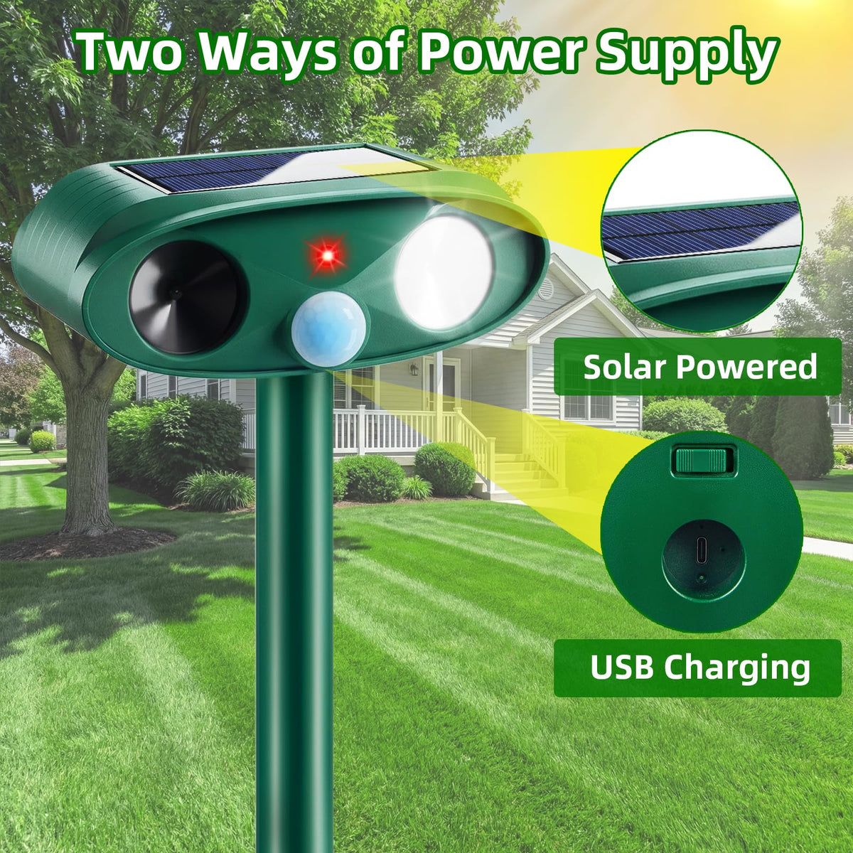 CXIENAOY solar panel assembly close-up, easy setup for year-round garden protection.