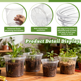 CXIIPOL 8-inch transparent nursery pot highlights root visibility for orchids