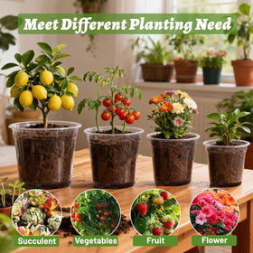 CXIIPOL clear plastic nursery pot with drainage prevents overwatering